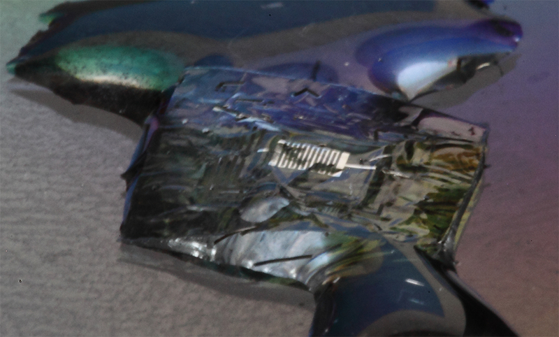Illustration for article titled “Born to Die” Electronics Dissolve When Wet